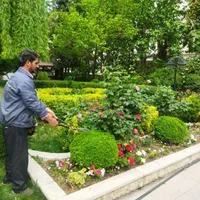 باغبانی سم پاشی گل کاری هرس کاری سمپاشی سوسک،شته|خدمات باغبانی و درختکاری|تهران, نیاوران|دیوار