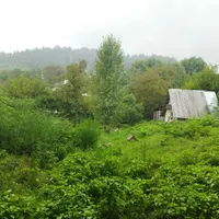 ویلا سوئیسی روستای حلیمه جان، اجاره روزانه