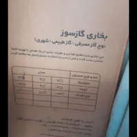 بخاری ادنیس ۱۲۰۰. ماژوکا