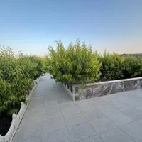 فروش باغچه ۵۰۰ متری سندتک برگ/استثنایی/سنددار|فروش خانه و ویلا|شهریار, حصار ساتی|دیوار