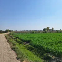 فروش زمین ۳۵۰ متری جی اطشاران ابر|فروش زمین و ملک کلنگی|اصفهان, ابر|دیوار