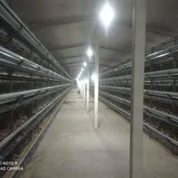 موتور برق اصطراری|ماشین‌آلات صنعتی|بابلسر, |دیوار
