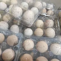 پخش مرغ اردک غاز بوقلمون بلدرچی.ن و ...|خوردنی و آشامیدنی|زنجان, |دیوار
