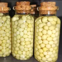 تخم حلزون ترکیب شده با روغن بادام شیرین