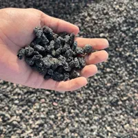 پوکه معدنی قروه