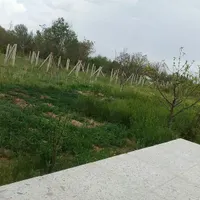 کاشی کاری وسرامیک