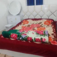 اجاره آپارتمان روزانه