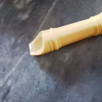 فلوت