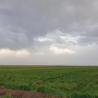 یک قطعه زمین کشاورزی باغی ۱۰۰۰ متری|فروش دفتر صنعتی، کشاورزی، تجاری|کرج, خرمدشت|دیوار