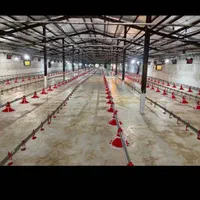 تجهیزات مرغداری به قیمت درب کارخانه
