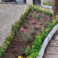 خدمات باغبانی هرسکاری گل کاری درتمام نقاط تهران و.|خدمات باغبانی و درختکاری|تهران, تهرانپارس شرقی|دیوار