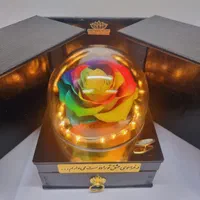 باکس سوپرایزی گل رز جاودان سایز کینگ کد ۹۱|گل و گیاه طبیعی|تهران, میدان ولیعصر|دیوار