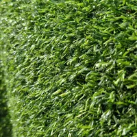 چمن مصنوعی ۱۵ میل شهریار