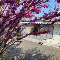 ویلاهای تمیز دربست اجاره ای(ماهانه وروزانه)|اجارهٔ کوتاهمدت ویلا و باغ|ماکلوان, |دیوار