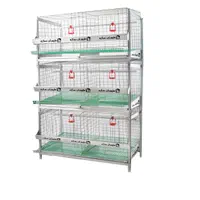 /شرکتی/ قفس بلدرچین و قفس مرغ %استاندارد%|خدمات پیشه و مهارت|شهرکرد, |دیوار