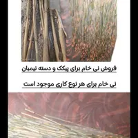 نی خام س و ن وم