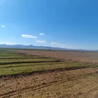 چهار هزار متر زمین باغی کشاورزی با سند و نقشه UTM|فروش دفتر صنعتی، کشاورزی، تجاری|کرج, محمود آباد|دیوار
