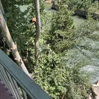 اجاره ویلا باغ بهادران باغبادران باغبهادران|اجارهٔ کوتاهمدت ویلا و باغ|اصفهان, سعادتآباد|دیوار