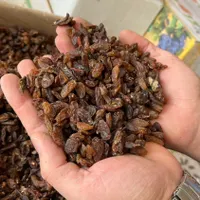 کشمش آفتابی آبگیری(ارسال از کاشمر)|خوردنی و آشامیدنی|کرج, ۳۵۰ متری|دیوار