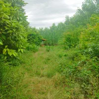 خونه باغ قدیمی ۲/۷۰۰متر سند تک برگ