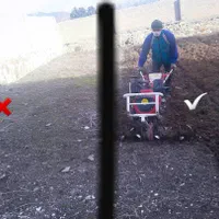 گل آرایی.هرس.فروش گل و نهال شخم زنی زمین با دستگاه|خدمات باغبانی و درختکاری|رشت, آزادگان|دیوار