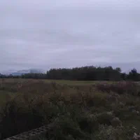 زمین مسکونی هزار متری در مرکیه بغل دریاچه شاهان|فروش زمین و ملک کلنگی|صومعه‌سرا, |دیوار