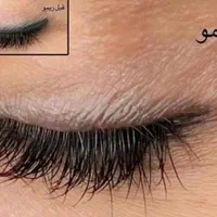 ریمو تتو،ریموو ابرو|خدمات آرایشگری و زیبایی|مشهد, صیاد شیرازی|دیوار