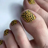 خدمات تخصصی رنگ ولایت آمبره کراتینه و بافت حرفه ای|خدمات آرایشگری و زیبایی|تهران, صادقیه|دیوار