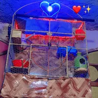قفس پرنده