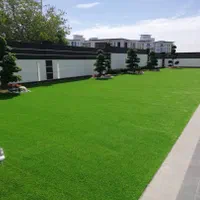 مرکز چمن مصنوعی|خدمات باغبانی و درختکاری|اصفهان, دانشگاه اصفهان|دیوار