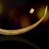 آموزش خصوصی کورل ،فتوشاپ ،پریمیر ،افترافکت،بلندر|خدمات آموزشی|کرج, عظیمیه|دیوار
