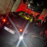 آریسان 2،  عروسک  خشک درحد صفر