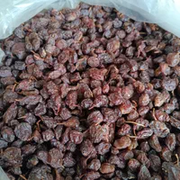 مویز وکشمش خرما خمیر خرما شیره خرما|عمده‌فروشی|شیراز, شهرک مدرس|دیوار
