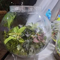 تراریوم گلیتا مدل فلکسی بنسای