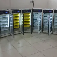 دستگاه جوجه کشی) برد دیجـیتالــی قویــ-(