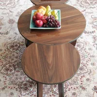 جلومبلی دایره با دو عسلی مکمل دایره|مبلمان خانگی و میز عسلی|اصفهان, باغ فدک|دیوار