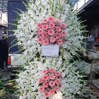 گل،تاج گل، سبد گل و دسته گل|خدمات پذیرایی، مراسم|شیراز, دارالرحمه|دیوار