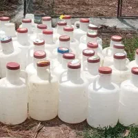 دبه خیارشور