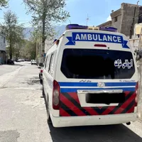 جوی لانگ، مدل ۲۰۱۶