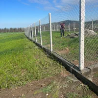 تولیدفنس پایه بتنی اجراصفرتاصدفنس کشی صادقی|خدمات باغبانی و درختکاری|گرگان, |دیوار