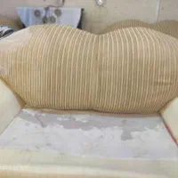 مبلشویی مبل شویی شستشو با مواد نانو تضمینی|خدمات نظافت|مشهد, کوثر|دیوار