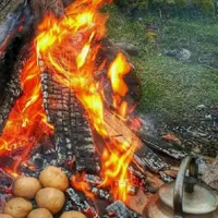 مشهد وشمال۷شب خانوادگی وبانوان اعزام۶/۲۰)ترکیه وان|تور و چارتر|قم, آذر (نکویی)|دیوار