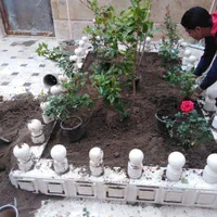 خدمات باغبانی سِدروس،طراحی|خدمات باغبانی و درختکاری|مشهد, راهنمایی|دیوار