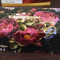 پخش و فروش عمده دستمال کاغذی|مواد شوینده و دستمال کاغذی|تهران, باغ فیض|دیوار