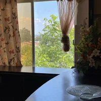 اجاره مکانی شیک در طبیعت بکر کد(۲۵)|اجارهٔ کوتاهمدت آپارتمان و سوئیت|لاهیجان, انقلاب|دیوار