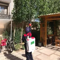 شرکت سم پاشی×موریانه ساس سوسک موش مار×سمپاشی|خدمات نظافت|اهواز, پادادشهر|دیوار