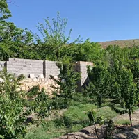باغ فروش زمین دور دیوار  روستای کاهو  ۷۱۰ متری|فروش زمین و ملک کلنگی|مشهد, وکیل‌آباد|دیوار