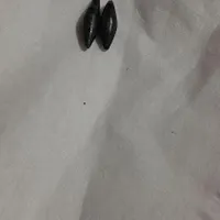مهره اصل