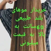 خریدار اصلی مو و صادر کننده بدونه واسطه و دلال|خدمات آرایشگری و زیبایی|اراک, |دیوار