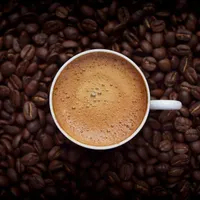 پخش عمده قهوه 10% تخفیف|عمده‌فروشی|کرج, درختی|دیوار